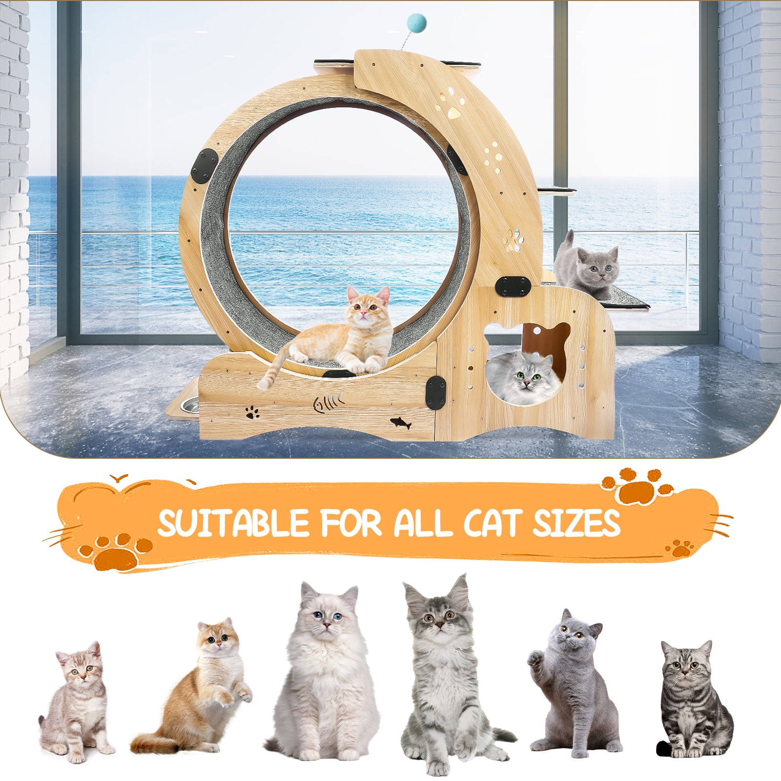 Pawspint 6-in-1 Cat Exercise Wheel, Upgraded Indoor Cat Running Wheel with Silent Track, Large Cat Treadmill for Exercise & Play, Cat Walking Wheel, Cat Furniture & Cat Toy