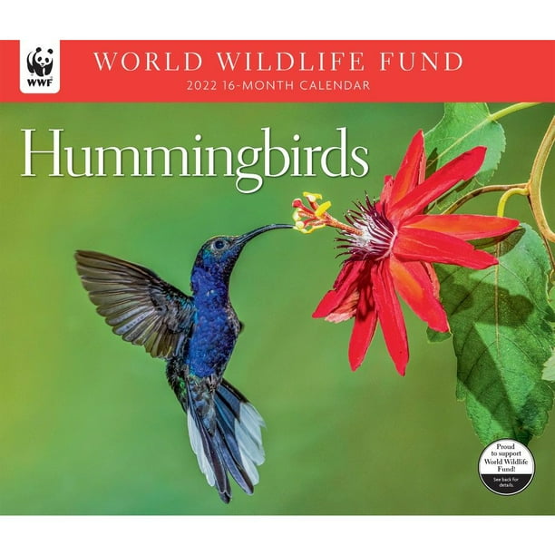 Calendrier 2023 Wwf Hummingbirds Wwf 2022 Wall Calendar - Walmart.com