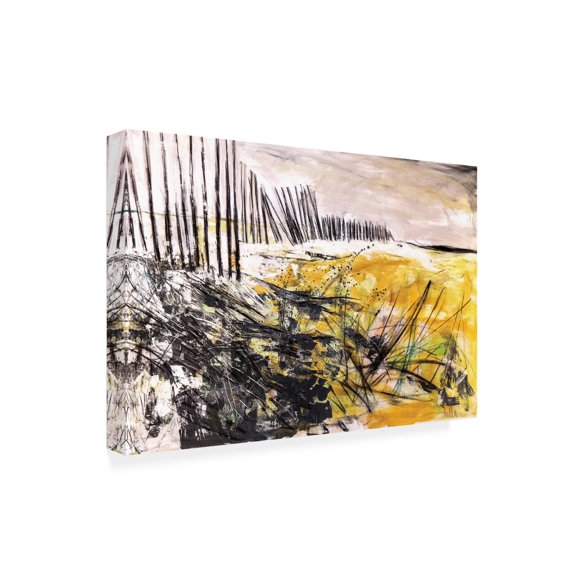 Trademark Fine Art 'Outer Banks Sand Dunes' Canvas Art by Mila Apperl