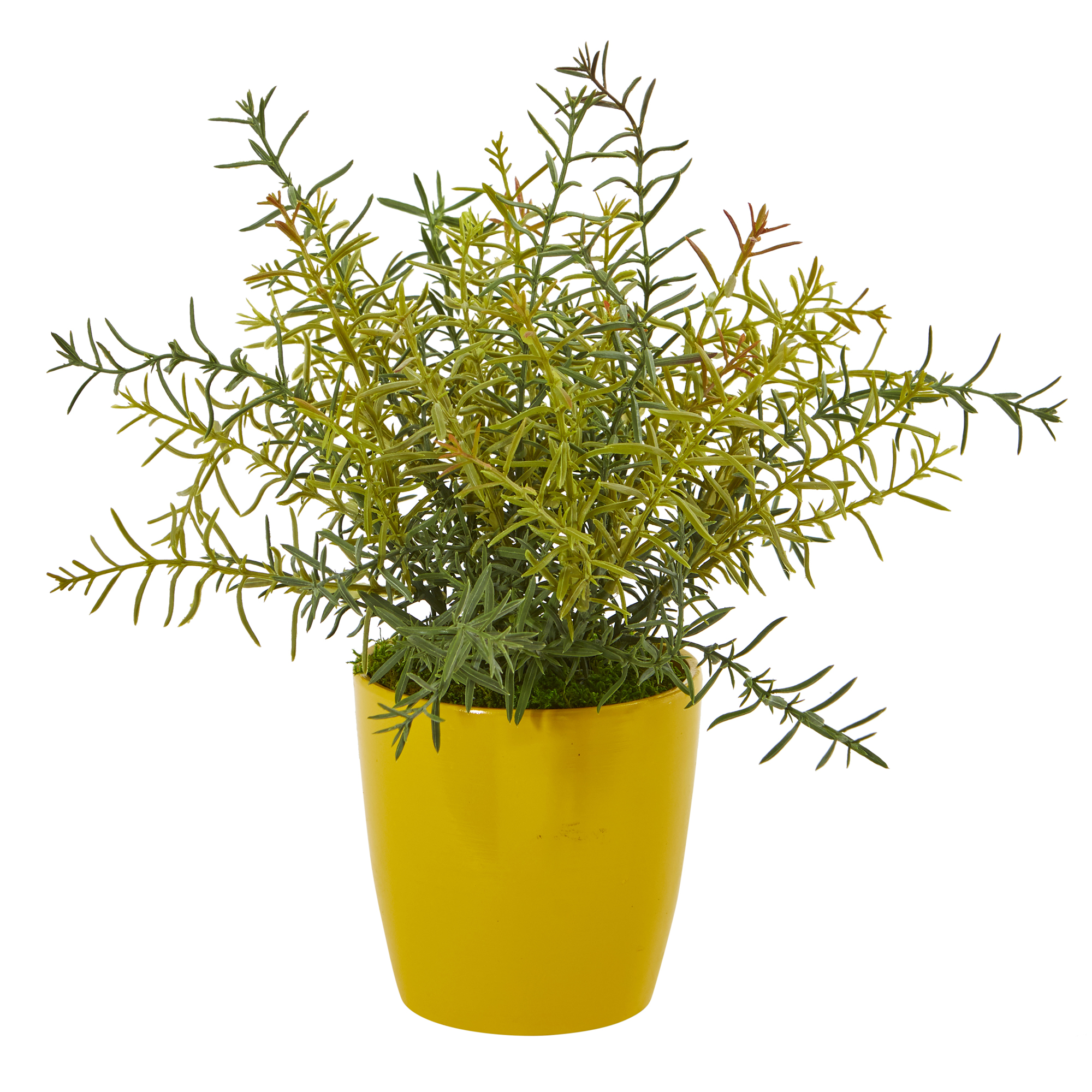 Nearly Natural 12in. Rosemary Artificial Plant in Yellow Planter (Set of 2)