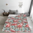 thumbnail image 6 of Throw Blanket for Couch Sofa and Bed, Pink Flamingo Super Soft Plush Throw Blanket, Fuzzy Cuteness Comfy Warm Washable Flannel Blanket & Throws for All Season 80"x60", 6 of 7
