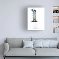 thumbnail image 3 of Jennifer Paxton Parker 'Sharp Succulents I' Canvas Art, 3 of 3