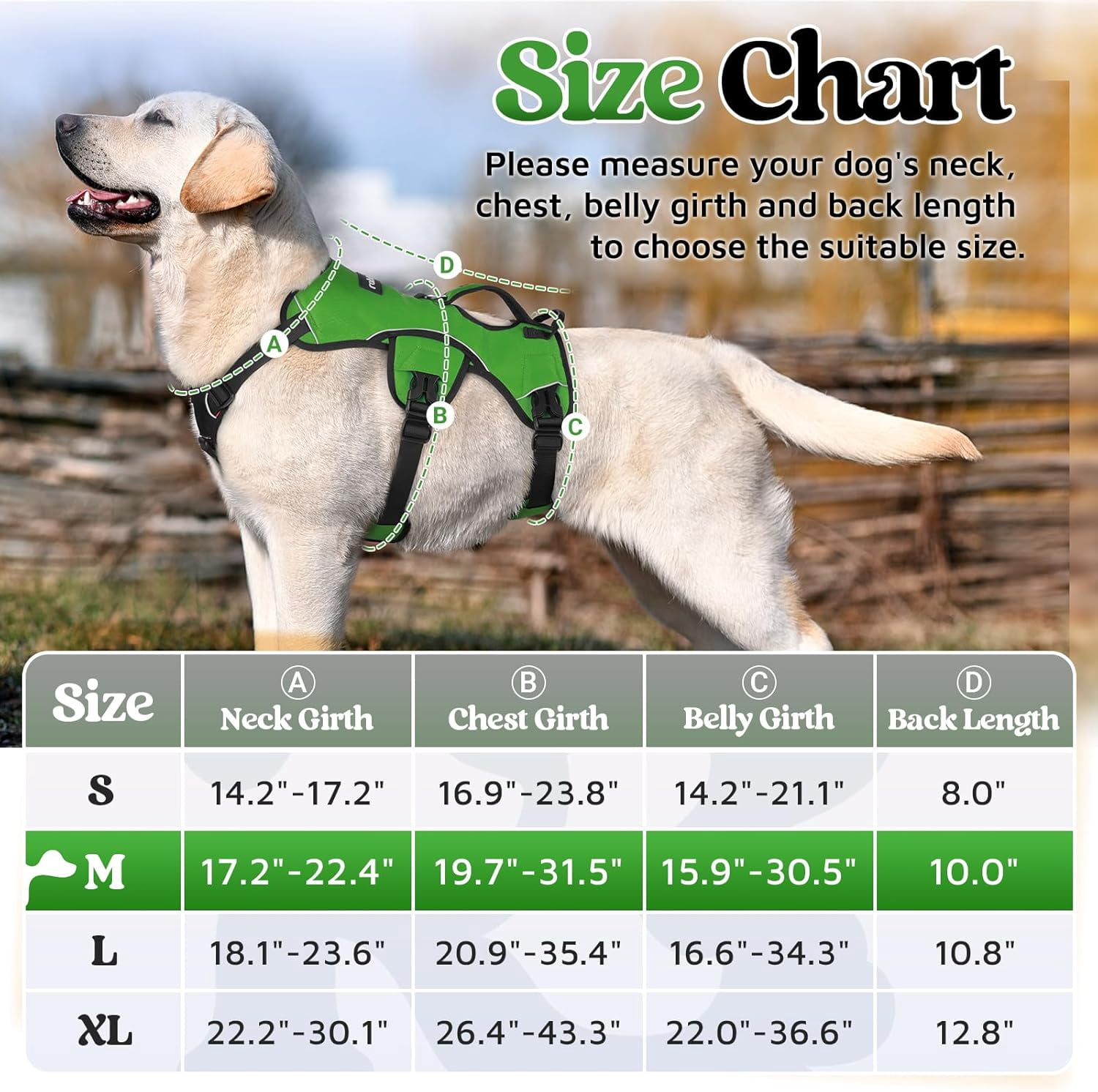 rabbitgoo Escape Proof Dog Harness, Soft Padded Full Body Pet Harness, Reflective Adjustable No Pull Vest with Lift Handle and Lesh Clip for Large Dogs Walking Hiking Training, Green