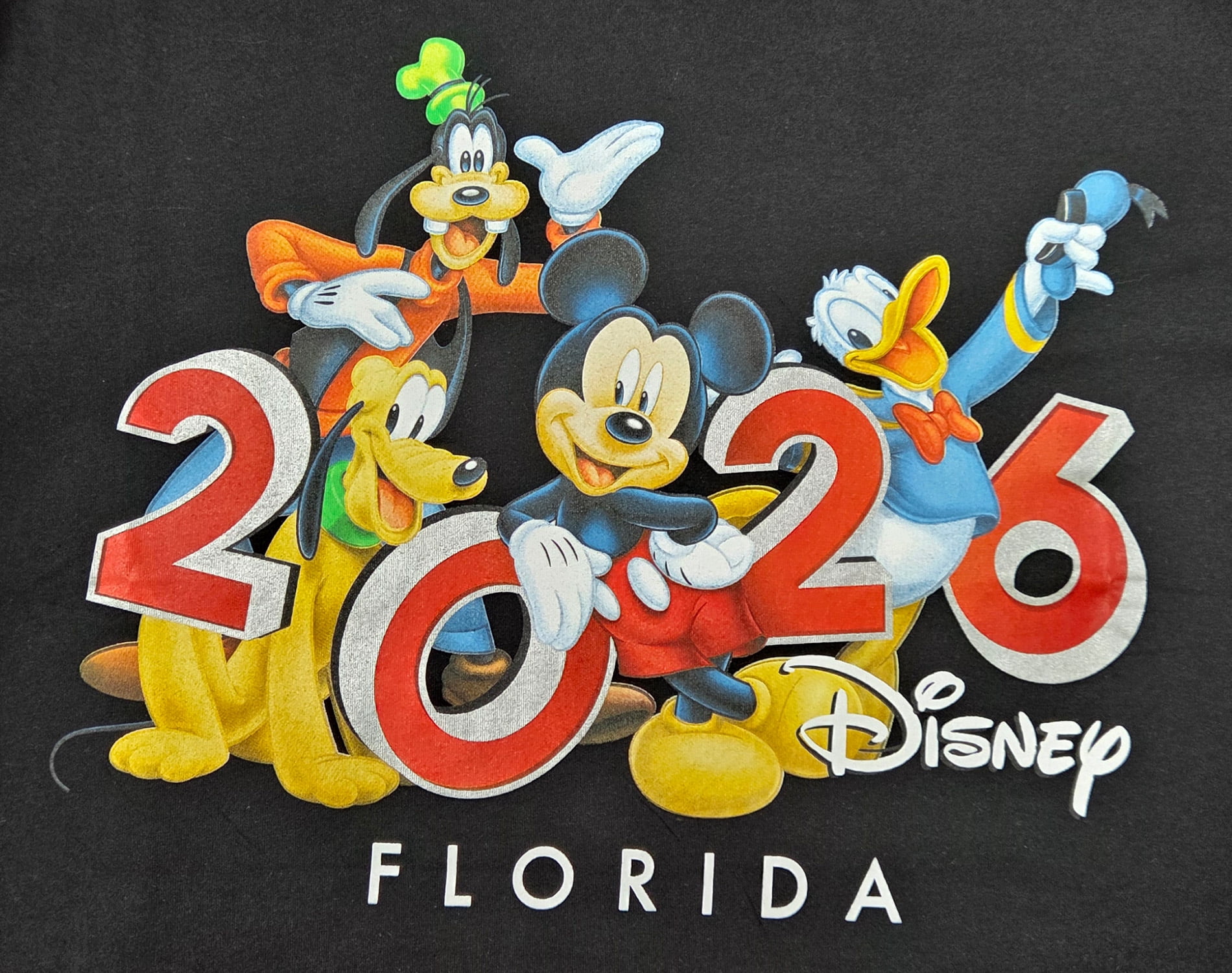 Disney Mickey and Friends 2026 Florida Group Adult Tee Shirt, XS-2XL (Unisex)