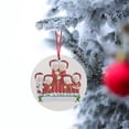 thumbnail image 2 of Loopsun Christmas Decor Iron Art Personalized Survived Family Of Ornament 2020 Christmas Holiday Decor for Winter Christmas Tree Decorations, 2 of 2