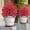 Hot Pink, variant on Artificial Petunias with Ground Stake,UV Resistant and Waterproof Artificial Flower Decor,for Garden,Planter and Porch,Yard,Lifelike Decorative Flowers&nbsp;23 Inch