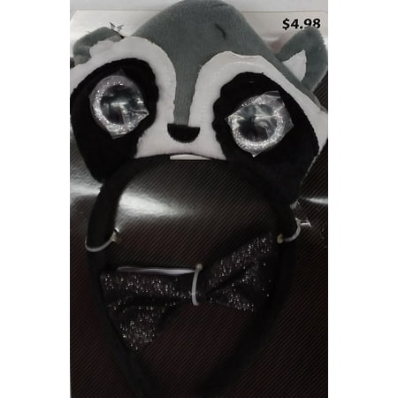 Way To Celebrate Raccoon Accessory Kit