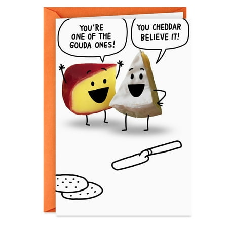 Hallmark Shoebox Funny Birthday Card (A Cheesy Wish)
