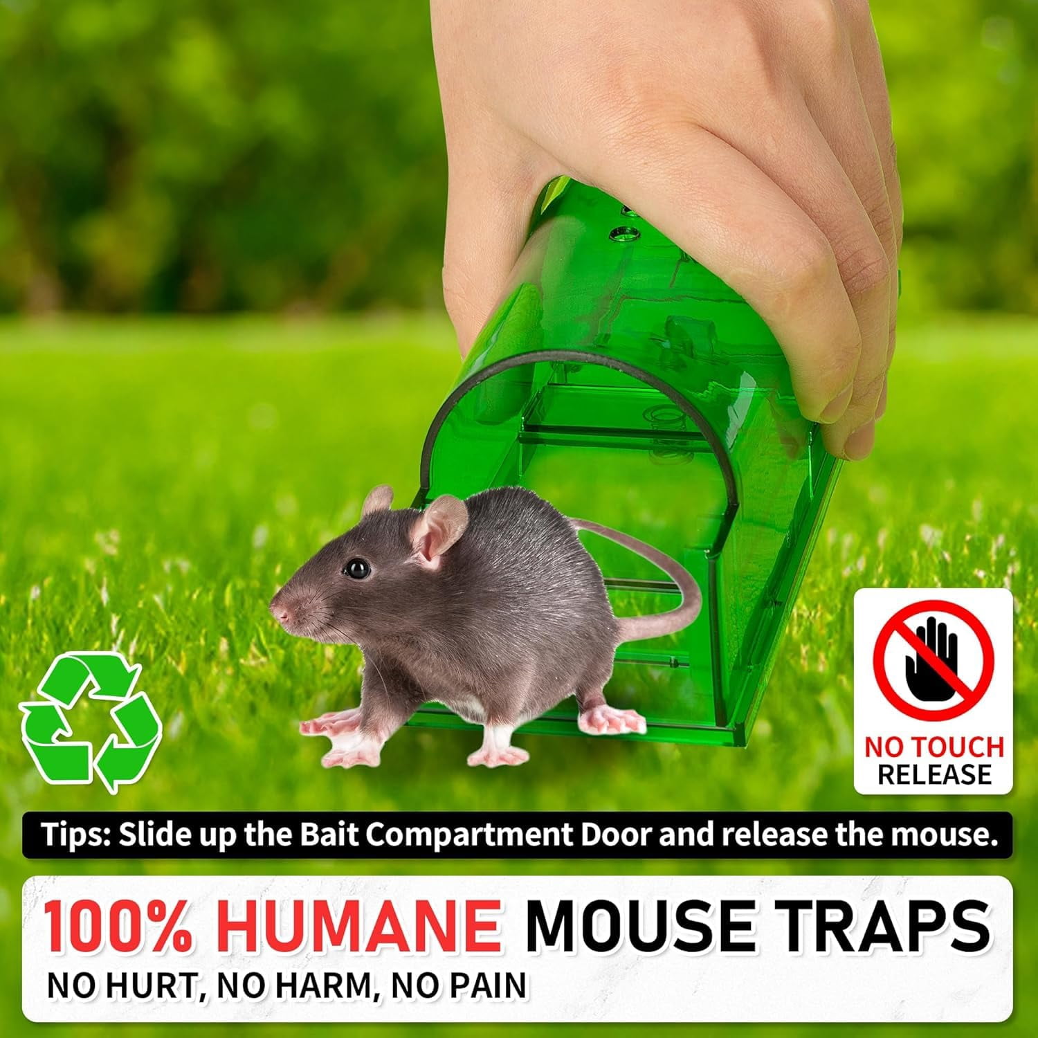 Humane Mouse Traps 6 Pack  No Touch Catch And Release Live Rodent Reusable With Cleaning Brush Pet Safe Indoor Outdoor Control For Mice Rats Chipmunks Voles