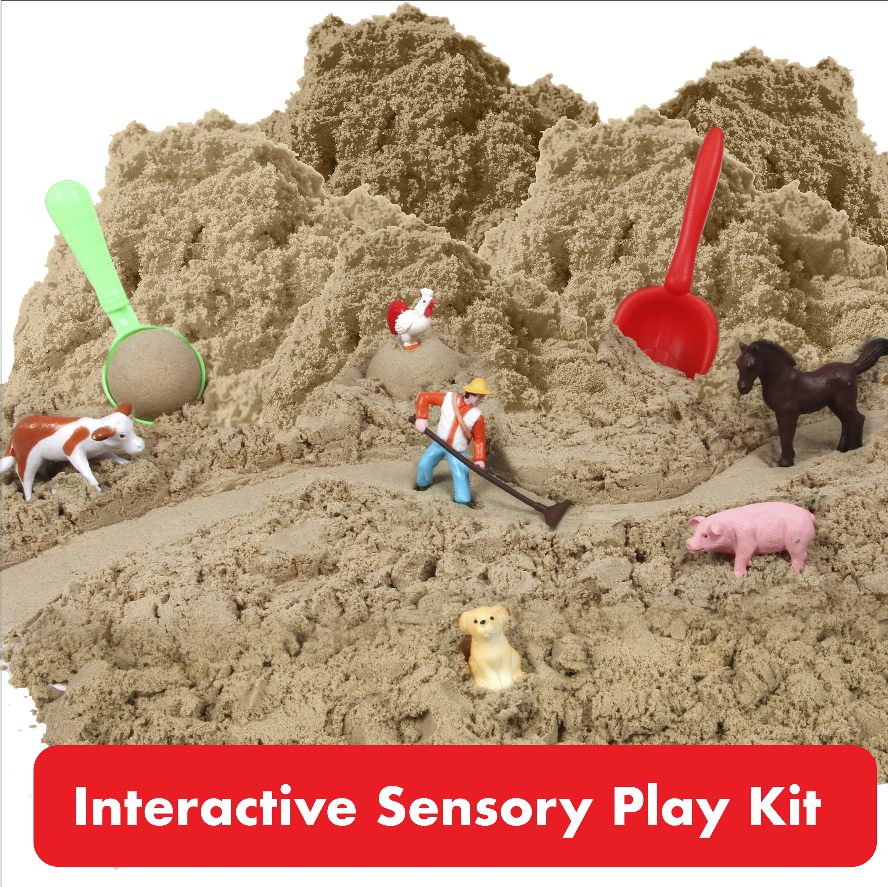 Sensory Bin, Pet Sensory Bin, Kinetic Sand Kit, Sensory Bin for