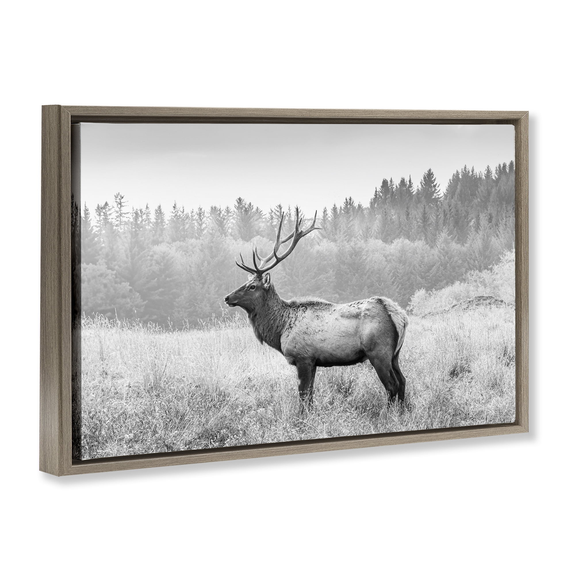 Stupell Industries Stoic American Elk Landscape & Nature Photography Brown Floater Framed Canvas Art Print Wall Art, 31 x 21