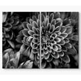 thumbnail image 3 of PixonSign Canvas Print Wall Art Blossoming Dahlias Botanical Wilderness Photography Realism Contemporary Portrait Relax/Calm Dark Black and White for Living Room, Bedroom, Office - 24"x36"x2, 3 of 5