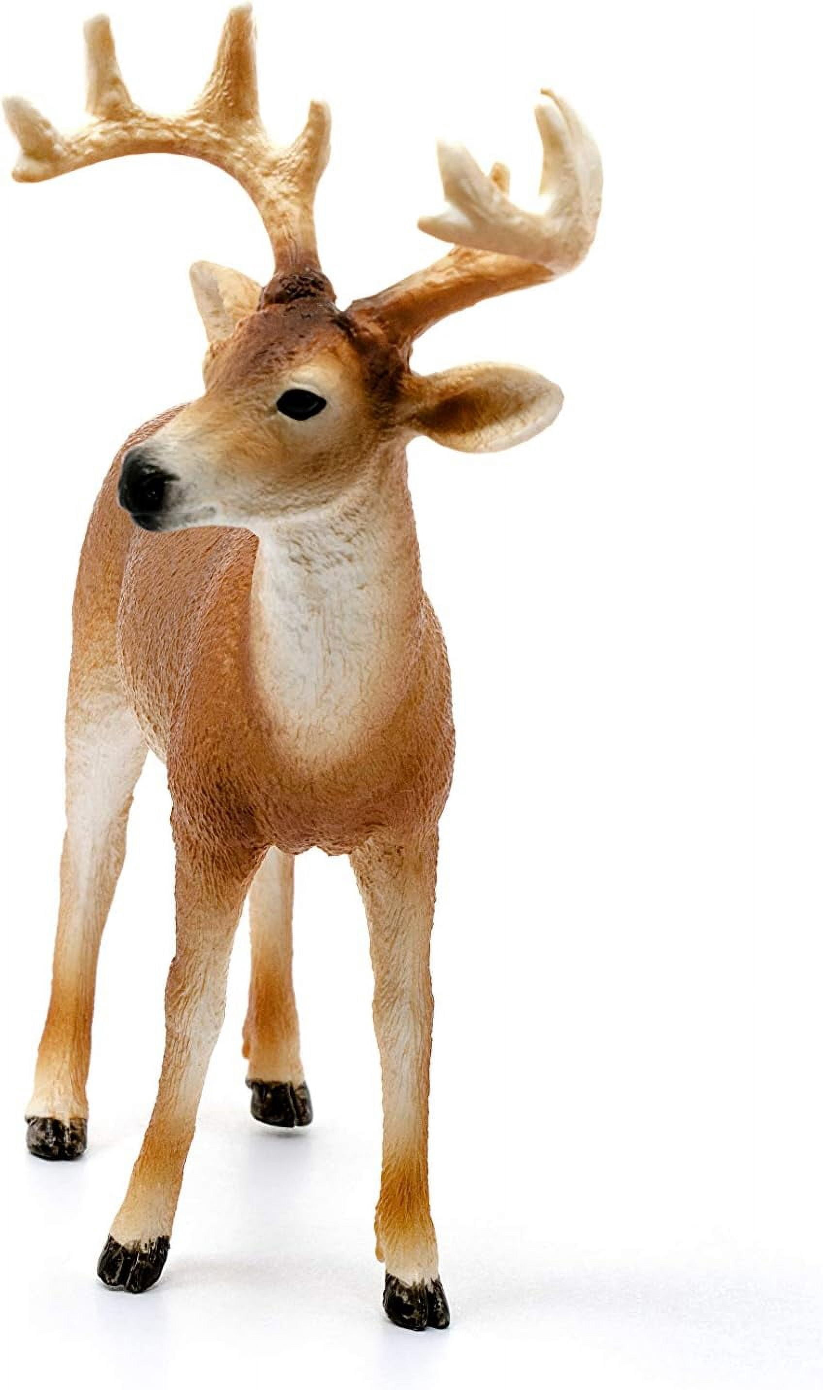 Schleich Wild Life - White-Tailed Buck Deer Figurine - Forest Animal Figures for Boys and Girls - Kids Ages 3+