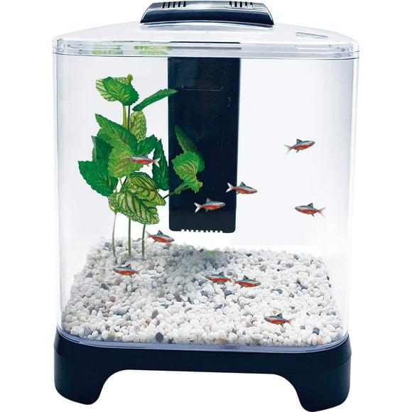 PENN-PLAX NuWave Betta Fish Tank Kit with LED Light and Internal Filter â Black â 1.5 Gallon