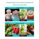 thumbnail image 4 of 2 Lámparas LED para el Crecimiento de Plantas, Luces para el Crecimiento de Plantas de Interior, Luces para Plantas de 25 W para el de las Semillas, Enchufe C UE, 4 of 8