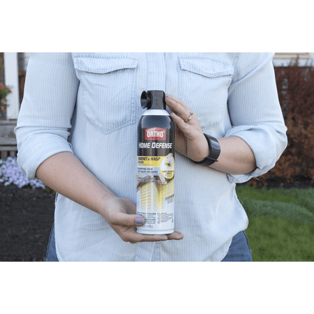 Ortho Home Defense Hornet and Wasp Killer