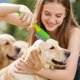 thumbnail image 4 of Peine Antipulgas Para Perros Y Gatos. Dientes Suaves De Acero Inoxidable. Herramienta Para Eliminar Pulgas Y Cuidar El Pelaje De Forma Regular., 4 of 5