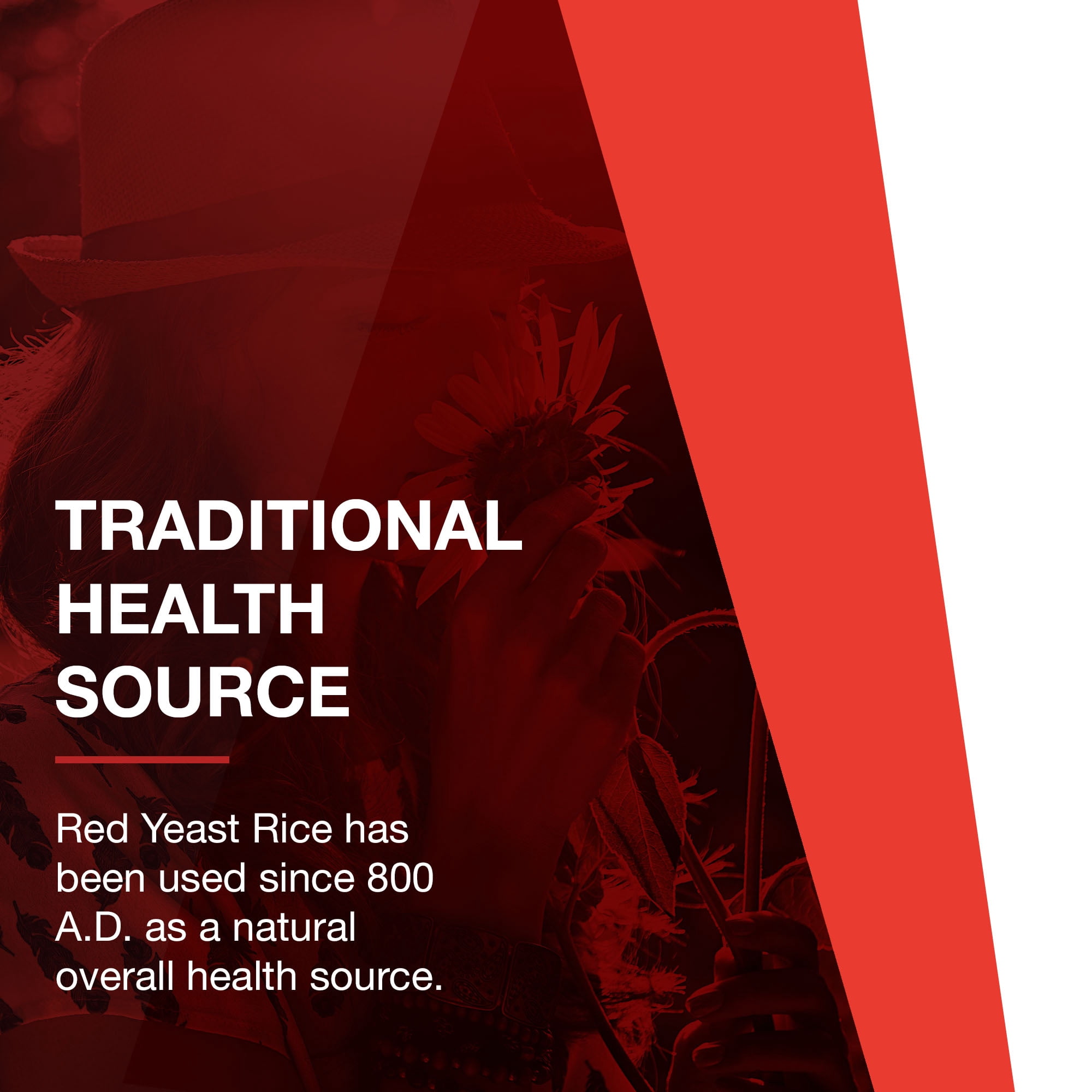 Protocol for Life Balance Red Yeast Rice Extract 600 mg - Traditional Herbalism - 90 Veg Caps