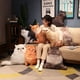 thumbnail image 5 of Cojín de gato de la vida Real, almohada de felpa de gato vivo, Animal de peluche simulado, juguete de felpa, dormitorio, sofá, decoración, 50CM, 5 of 5