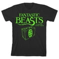 thumbnail image 6 of Fantastic Beasts Neon Green Newt Scamander Suitcase Boy's Black T-shirt-XS, 6 of 7