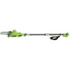 Earthwise LPS40208 8-Inch 20 Volt Lithium Ion Cordless Electric Pole Saw 9 Feet Extended Length (Battery and Charger Included)