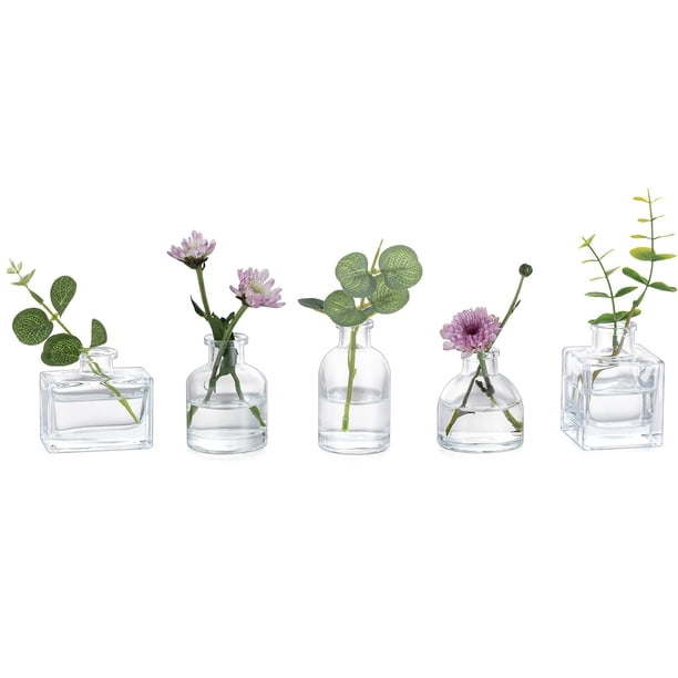 Jarrones Glass Bud Mini Transparentes Glasseam, juego de 5 para centros de mesa