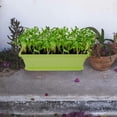 thumbnail image 1 of WRITWAA 2Pcs Wear-Resistant Rectangle Planter For Office Decoration Vegetable Pot, 1 of 6