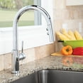 thumbnail image 3 of Speakman SB-1042-SS Kitchen-Sink-faucets, Stainless, 3 of 5