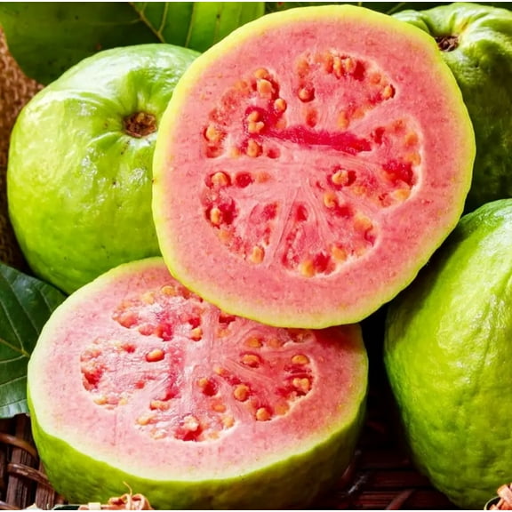 30 Pink Guava Tree Seeds Tropical Strawberry Ruby Supreme Psidium guajava - Exotic Flavors, Beautiful Blooms PeavyTailor