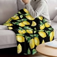 thumbnail image 3 of Lemon Black Blanket Soft Cozy Warm Throw Blanket for Couch, Plush Fuzzy Flannel Fleece Blankets for Sofa, Country Fruit Watercolor Farmhouse Plant Bed Blankets Lightweight Gifts for Women, 50"x60", 3 of 9