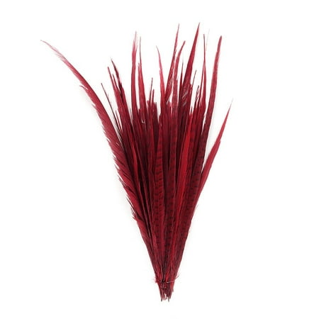 Zucker Feather Products Assorted Pheasant Tails Dyed - 16x30