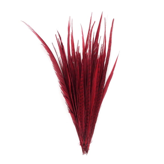 Zucker Feather Products Assorted Pheasant Tails Dyed - 16x30" - Red
