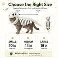 thumbnail image 6 of Dinosaur Skeleton Pet Costume, Pet Dinosaur Costume (#C,Large) | Plush Halloween Pet Hood Outfit for Cats and Dogs, Adjustable Soft Dino Outfit for Halloween & Dress-Up Play, 6 of 6