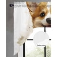 thumbnail image 2 of Cute Puppy Swag Valances for Windows, Small Curtains Drapes, Simple Funny Brown Dog Animal Portrait Kitchen Window Curtains Over Sink Rod Pocket Window Treatment Valance for Bedroom/Bathroom 56"x36", 2 of 5