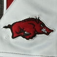 thumbnail image 2 of Men's Colosseum Charcoal Arkansas Razorbacks Turnover Shorts, 2 of 2