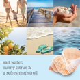thumbnail image 4 of Yankee Candle Tarro Grande Beach Walk 22oz Vela, Anaranjado, Est&aacute;ndar, 1 YANKEE CANDLE NA, 4 of 4
