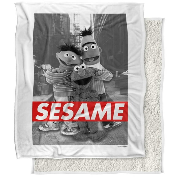 Sesame Street Blanket, 50"x60", Sesame Silky Touch Sherpa Back Super Soft Throw Blanket