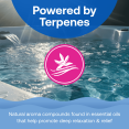 thumbnail image 5 of HTH Spa Care Muscle & Joint Relief Epson Salt Crystals for Hot Tubs, 5 of 12