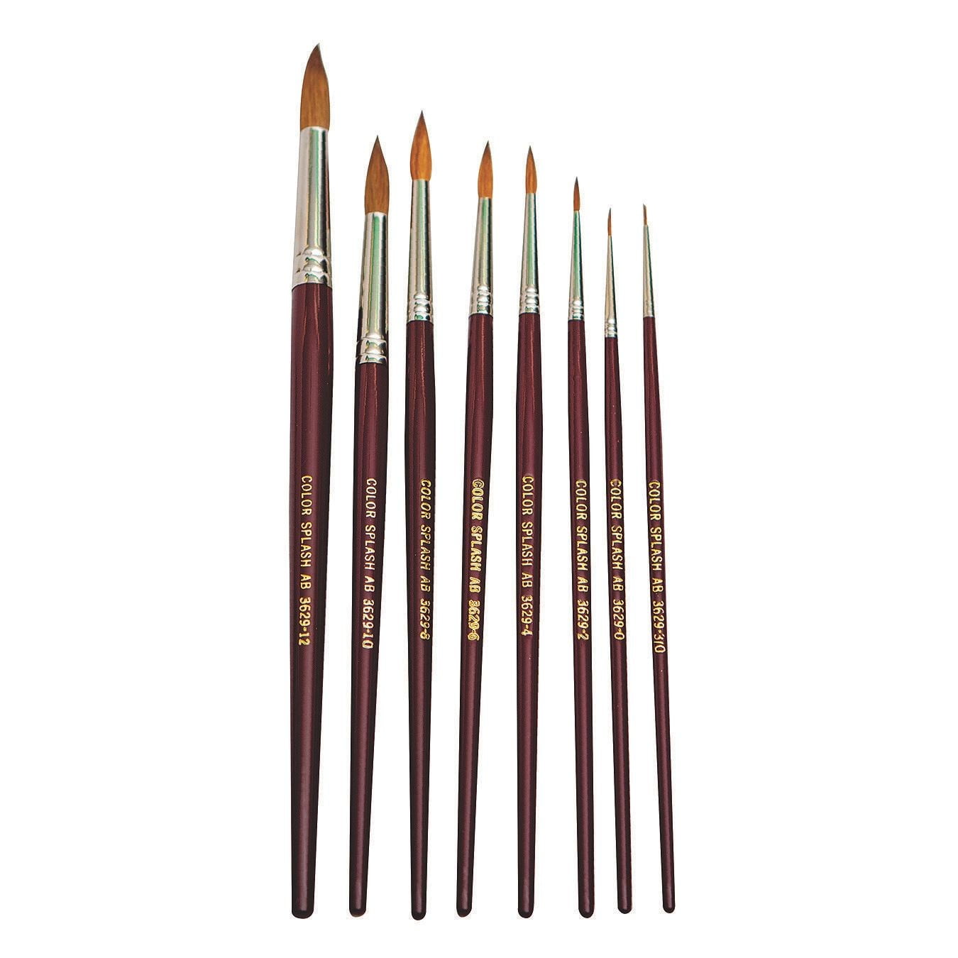 Paintbrush Starter Pack (Pack of 308)