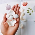 thumbnail image 4 of 25pcs Natural Scallop Shell, For Handmade Diy Production Handmade Diy Coloring Shell, 4 of 4