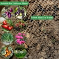 thumbnail image 4 of Paniers de Protection des Racines pour Plantes en Acier Inoxydable Panier en Fil de Fer Protecteur de Racines Réutilisable Cages pour Animaux Gopher et Vole Brillant, 4 of 12