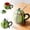 Green, variant on Watermelon Shaped Cup Elegant Glass Bottle and Glass for Everyday Use – Transparent Drinking Cup with Secure Lid and Wide Mouth for Home Kitchen Barware