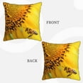 thumbnail image 3 of Kll Honey Bee Decorative Throw Pillow Covers Velvet Soft For Couch Sofa Bedroom Living Room Outdoor -18"X18", 3 of 8
