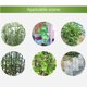 thumbnail image 2 of 12 piezas/especificaciones vendidas: diámetro 11 mm longitud 30 cm/adecuado para poste de 11 mm Tubo de acero recubierto de plástico accesorios de pilar de jardinería soporte ANGGREK Otros, 2 of 8
