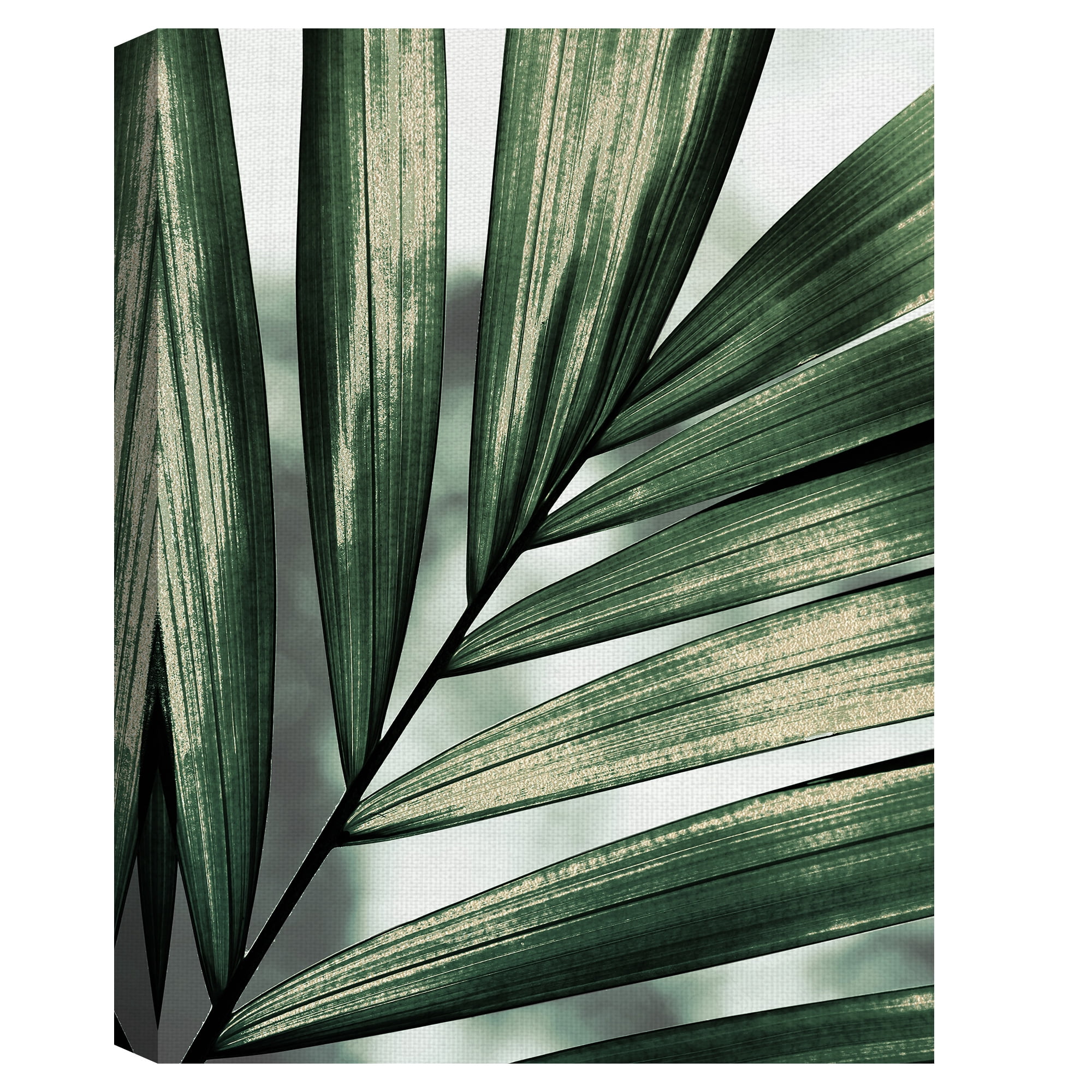 Masterpiece Art Gallery Palm Frond By Belle Maison Canvas Art Print 18" x 24"