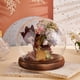 thumbnail image 5 of Campana de cristal transparente con base de madera. Vitrina decorativa., 5 of 7