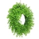 thumbnail image 4 of Corona de puerta Corona de boj para decoración de puerta de entrada Corona de hojas verdes artificiales Estilo01, 4 of 9
