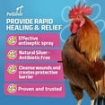 thumbnail image 2 of PetSilver Wound Spray Chicken Formula with Chelated Silver, Vet Formulated. All Natural Pain Free Formula for Birds & Poultry, Relief and Support for Wounds, Burns, 12 oz., 2 of 8