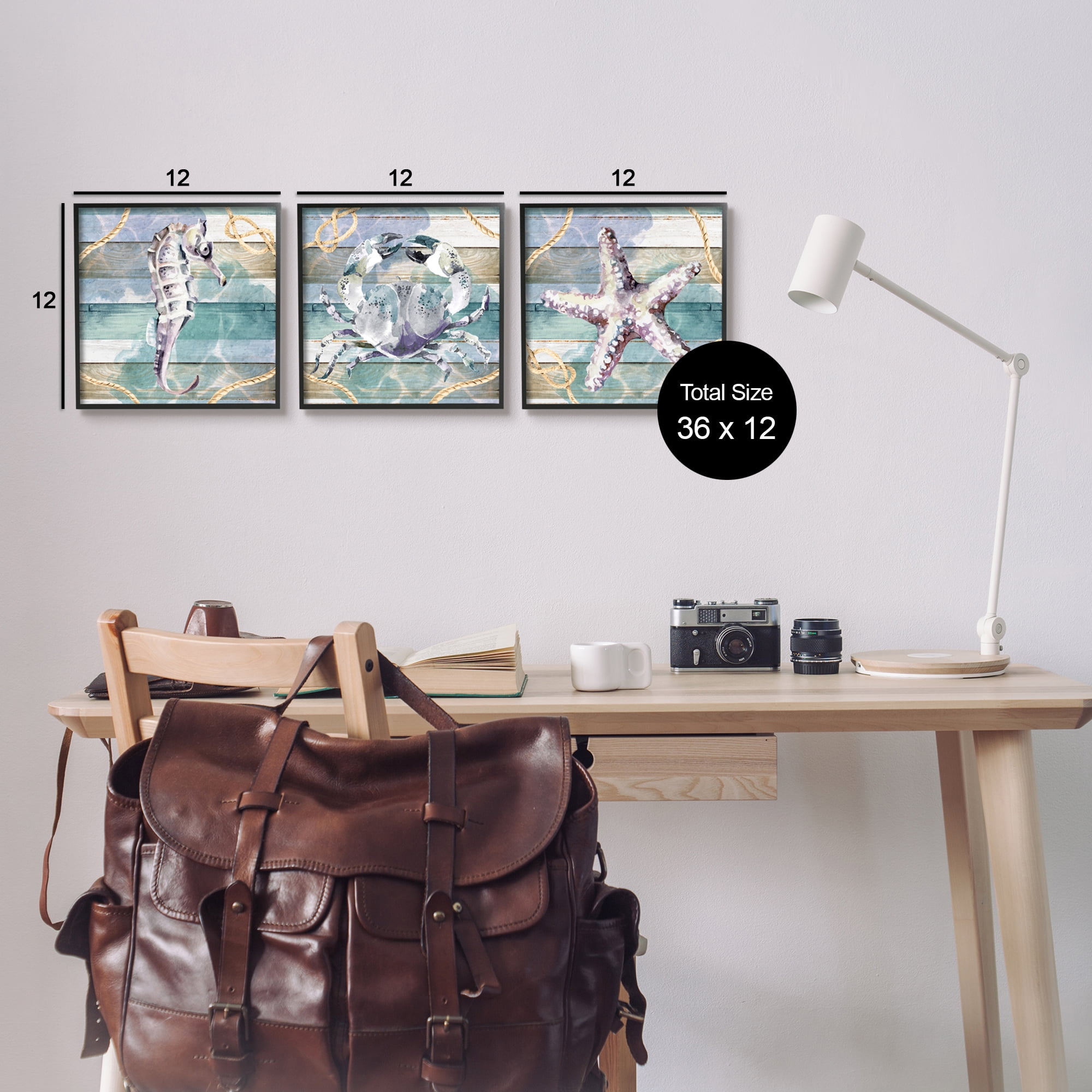 Stupell Industries Sea Life Plank Pattern Animals & Insects Painting Black Framed Art Print Wall Art, 12 x 12, Set of 3