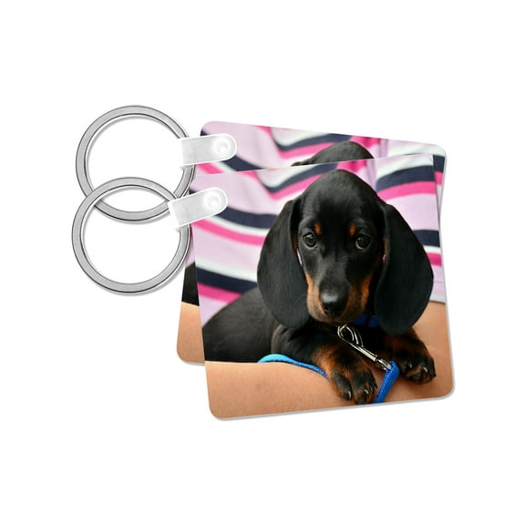 3dRose, Image of Dachshund Puppy Portrait, set of 2 Key Chains